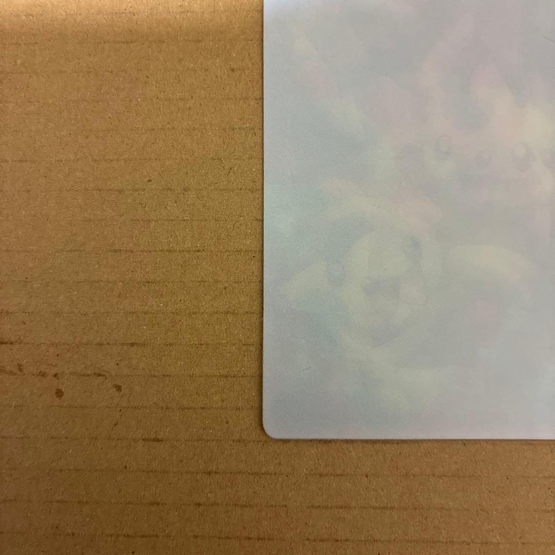 【希少】ポケモンカード　幼稚園2月号付録