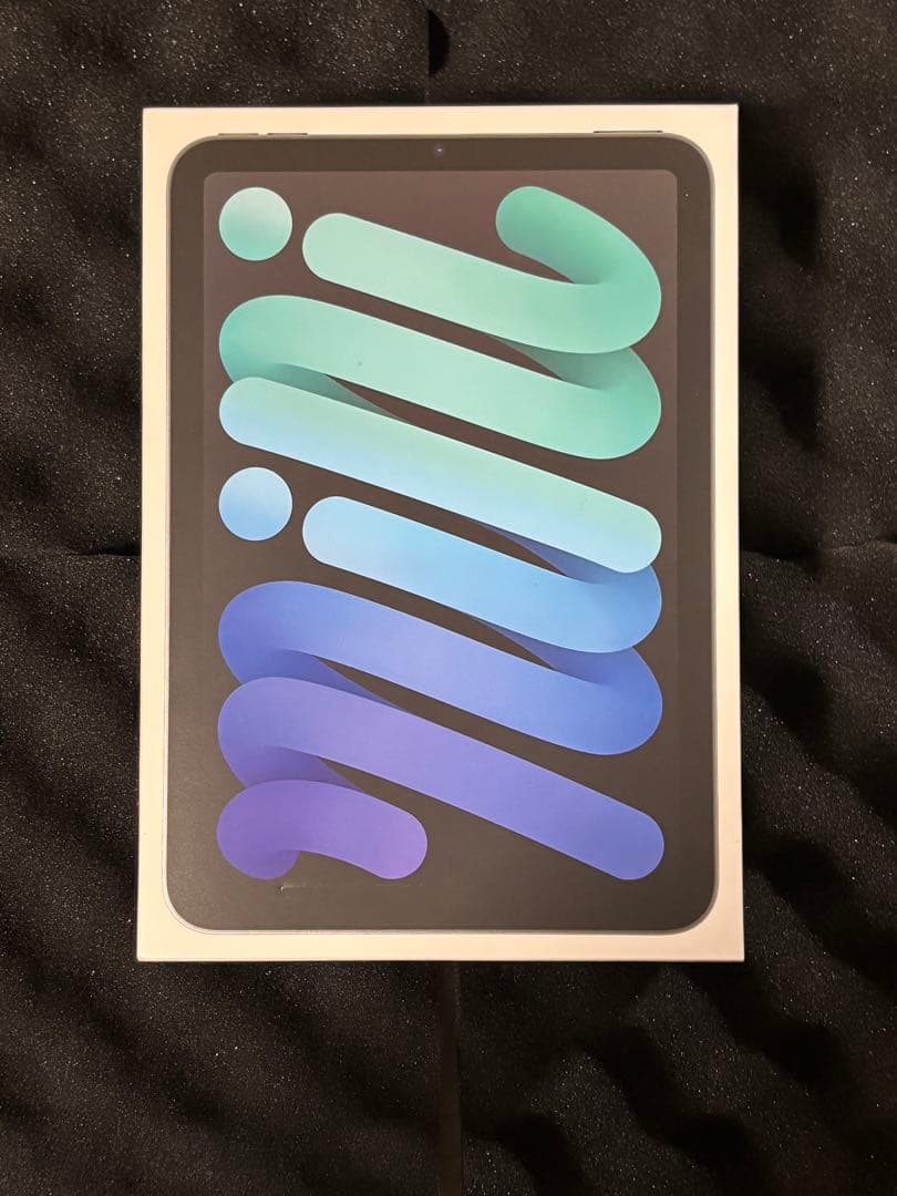 「値下げ交渉可」iPad mini (第7世代) 512GB WiFiモデル