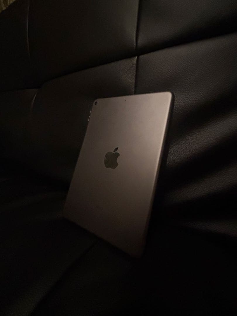 iPad mini 第5世代 64GB 本体 美品