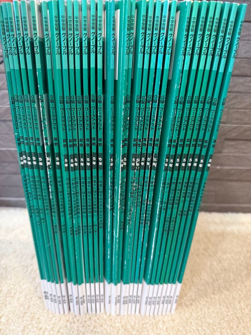 5年生 算数 グノーブル G脳グノワークアウト　全30冊