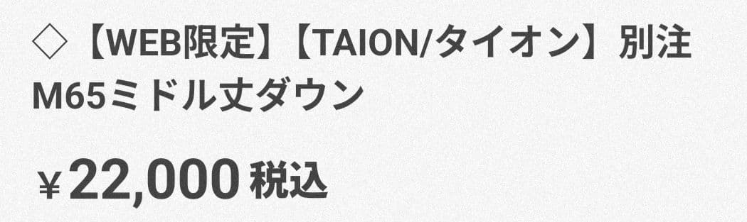 試着のみタグあり　2025　別注TAION(ノーリーズ)ミドル丈ダウンジャケット
