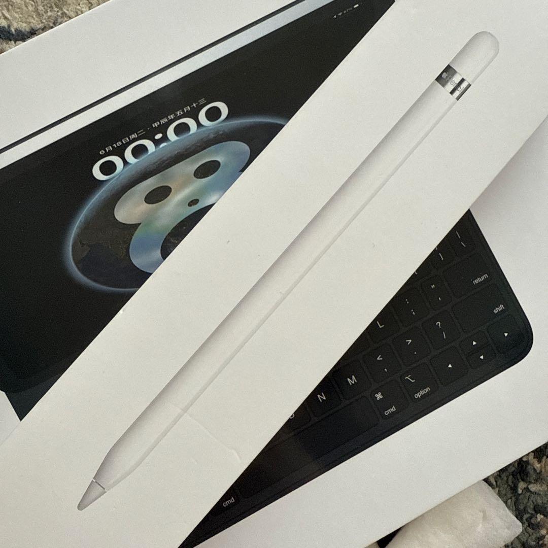 Apple Pencil (第1世代) ホワイト 専用ケース付き