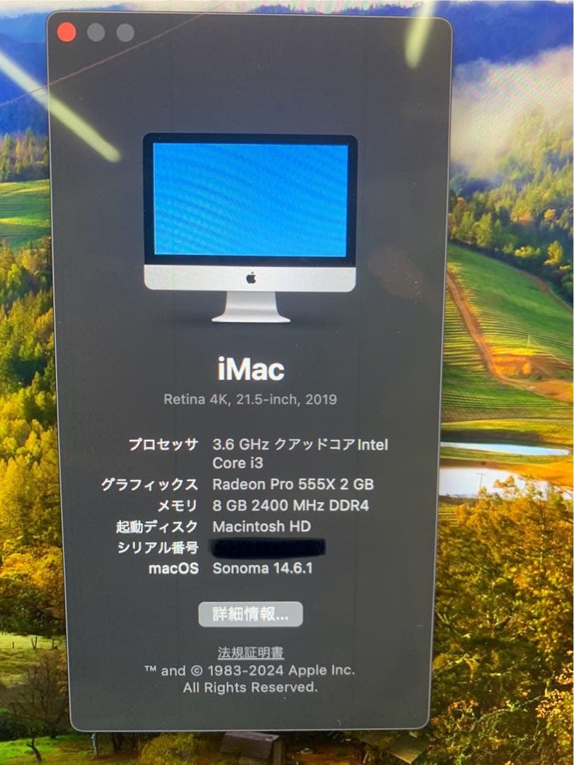 【ジャンク品】iMac 21.5インチ2019/3.0 QC/8G/1TB