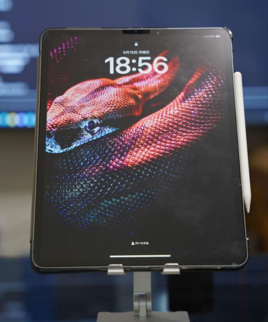 iPad Pro 12.9 (第6世代)256GB 社外Pencil付(交渉可)