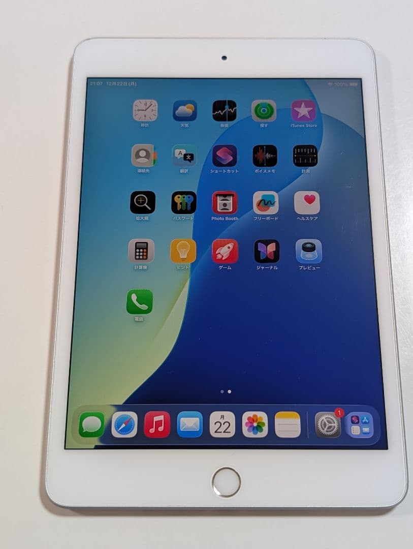 海外版SIMフリー　iPad mini5 64G シルバー