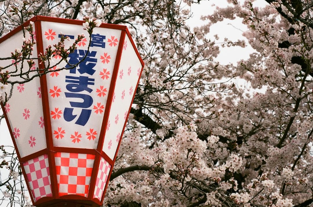 ヨネール様　Nikon F2 Photomic　ニコンF2フォトミック