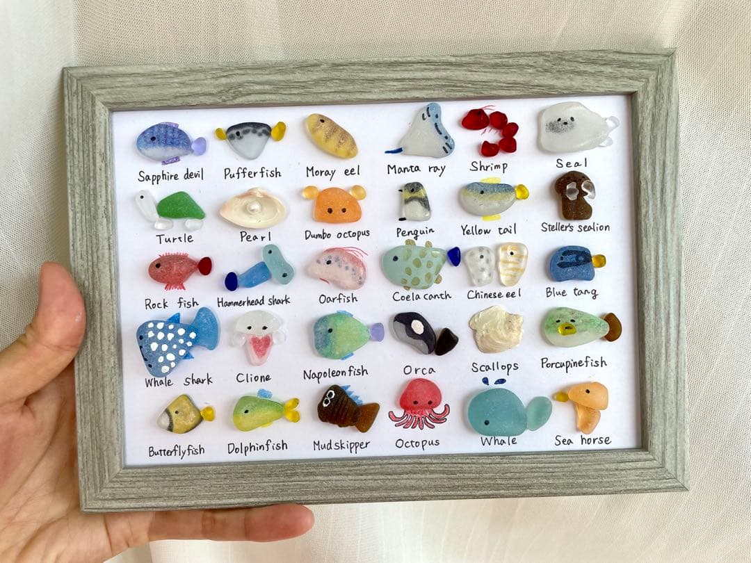 シーグラスアート☆No.391 図鑑　海の生き物　ギフト　プレゼント インテリア