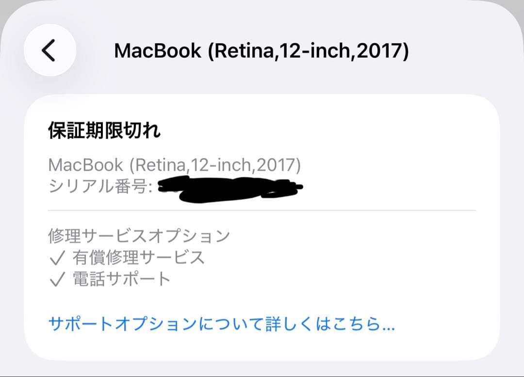 Apple MacBook 本体