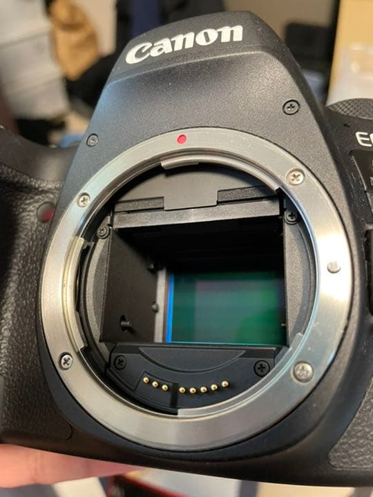 【パピコ様】Canon EOS 6D MARK2 EF24-105 IS STM