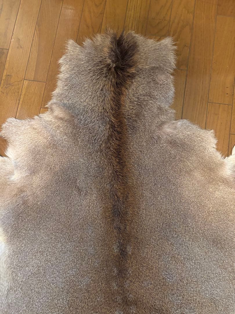 だ*ぶ様 蝦夷鹿毛皮ラグ　天然　バンビ