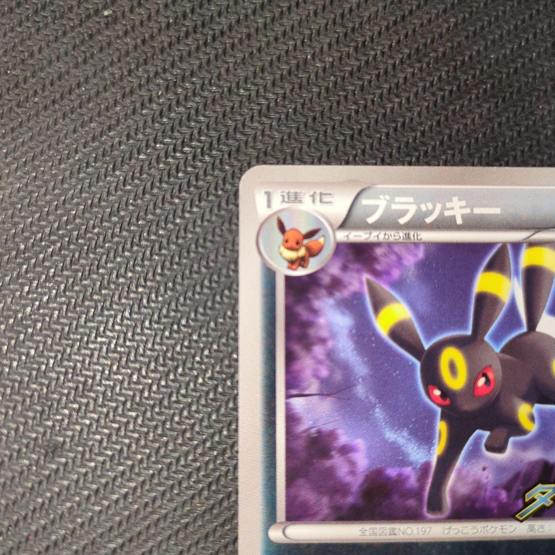 ブラッキー PROMO BW-Pプロモカード 115/BW-Pダークラッシュ