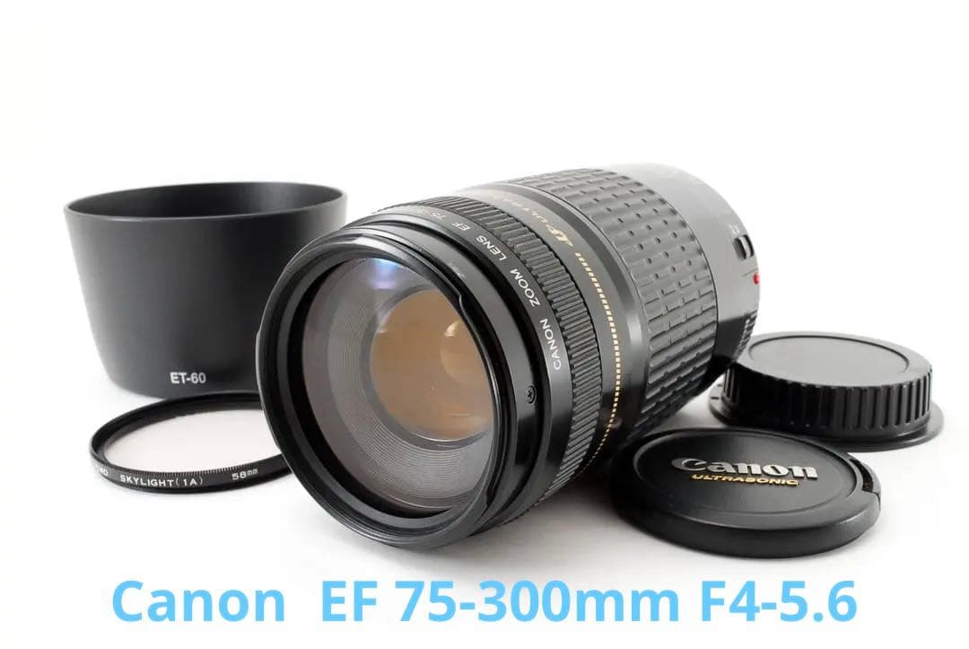 【フード付き】人気の望遠レンズ　キヤノン　Canon EF75-300㎜