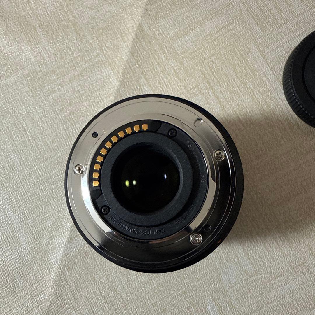 LUMIX 望遠レンズ