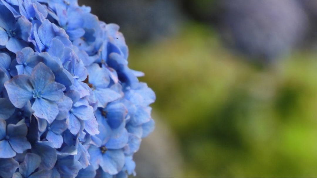 ［付属品多数］Nikon COOLPIX A1000