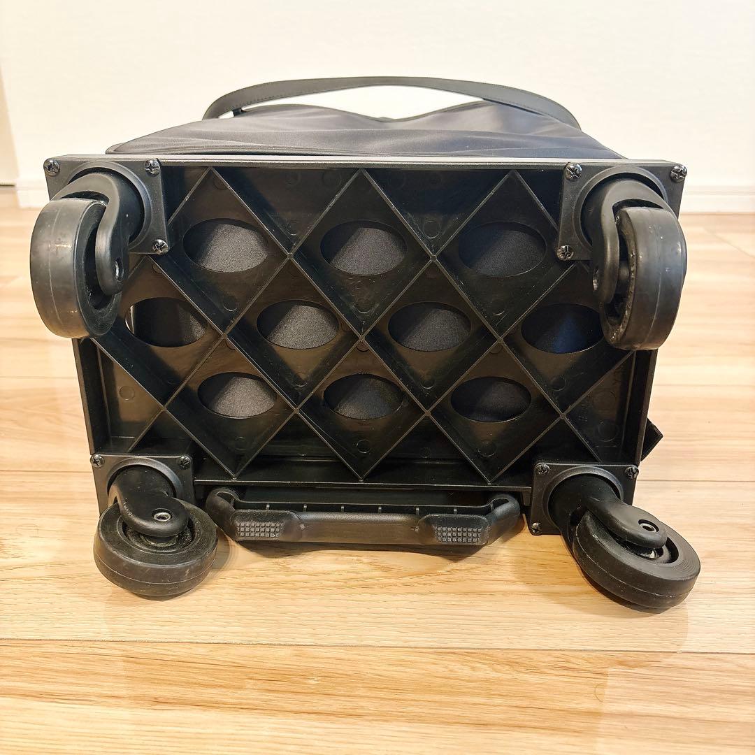 ✨極美品✨ スワニー D-202 ミルダ Mサイズ 19L 座れるキャリーバッグ