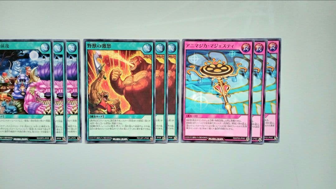 遊戯王 スーパーウォーライオン アニマジカ デッキパーツ 67枚