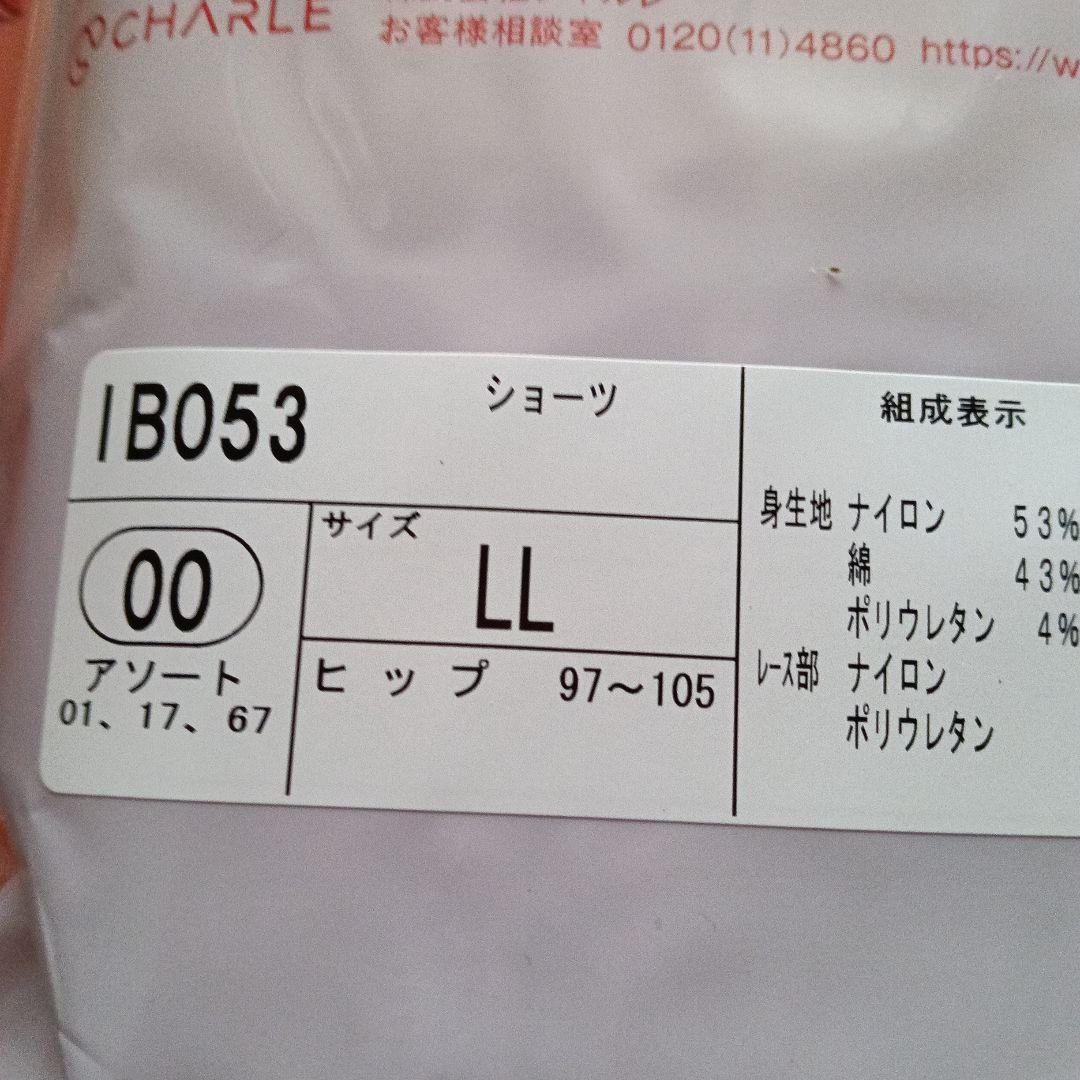 FE132 70 ナチュラルブラウン➕IB053 　　LLアソート3枚おまとめ