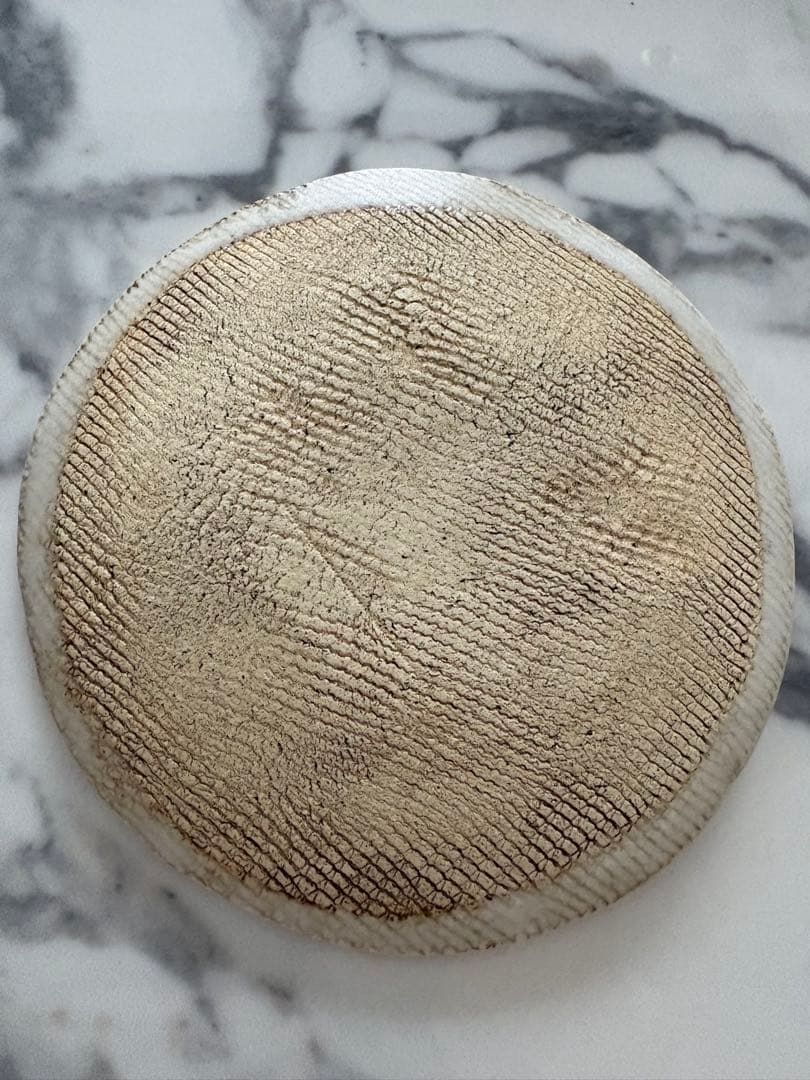 本田あつみ　フルーツ柄　小皿