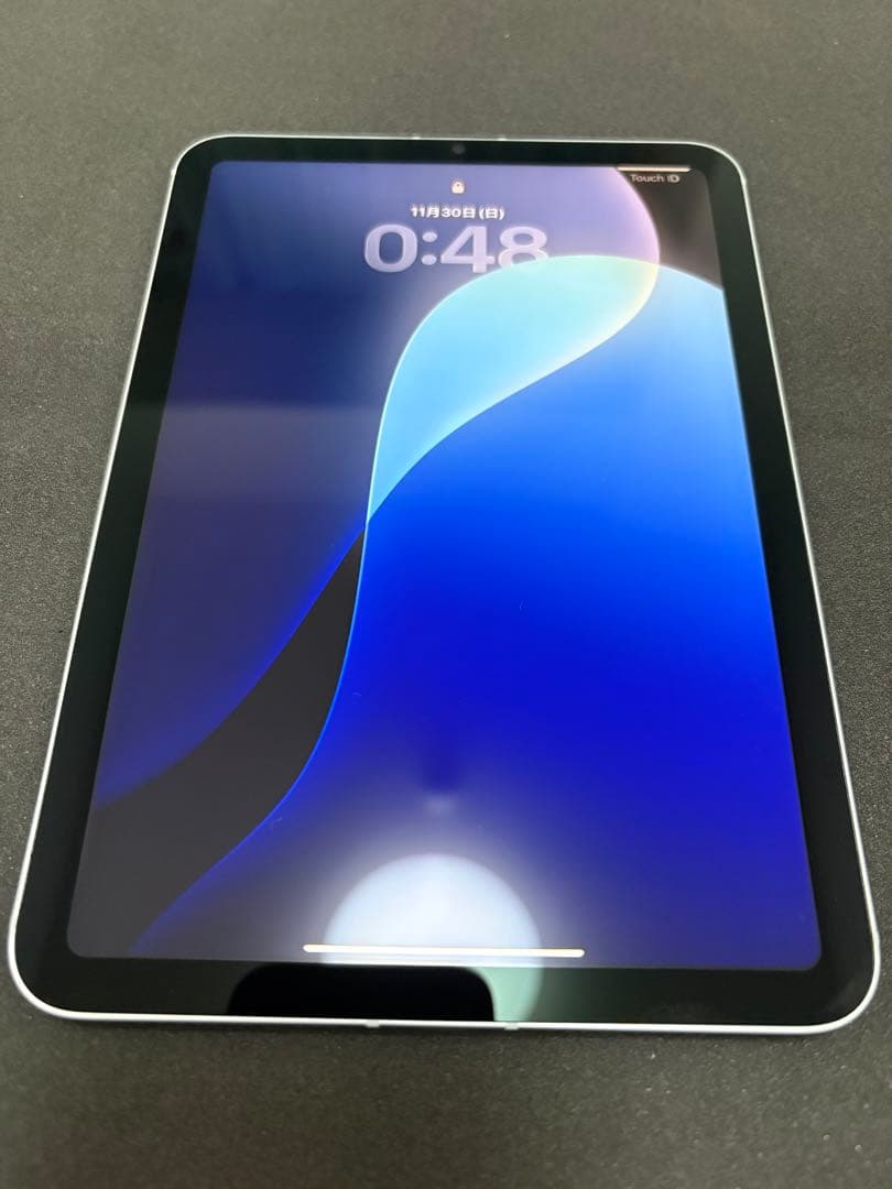 iPad mini A17pro 256GB セルラー 【アメリカ版】