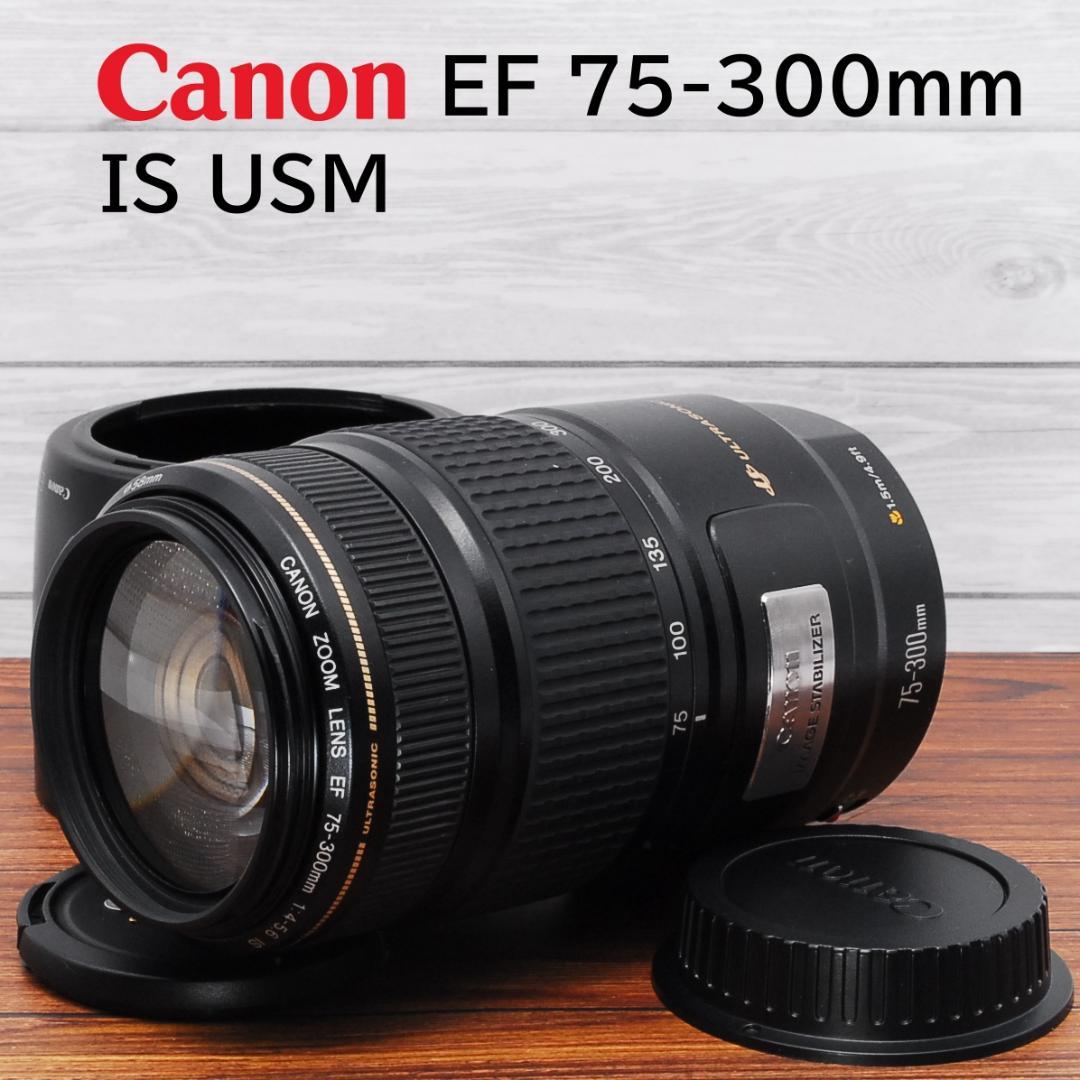 レンズ(ズーム) gatchan.mamaCanon EF 75-300mm IS USM