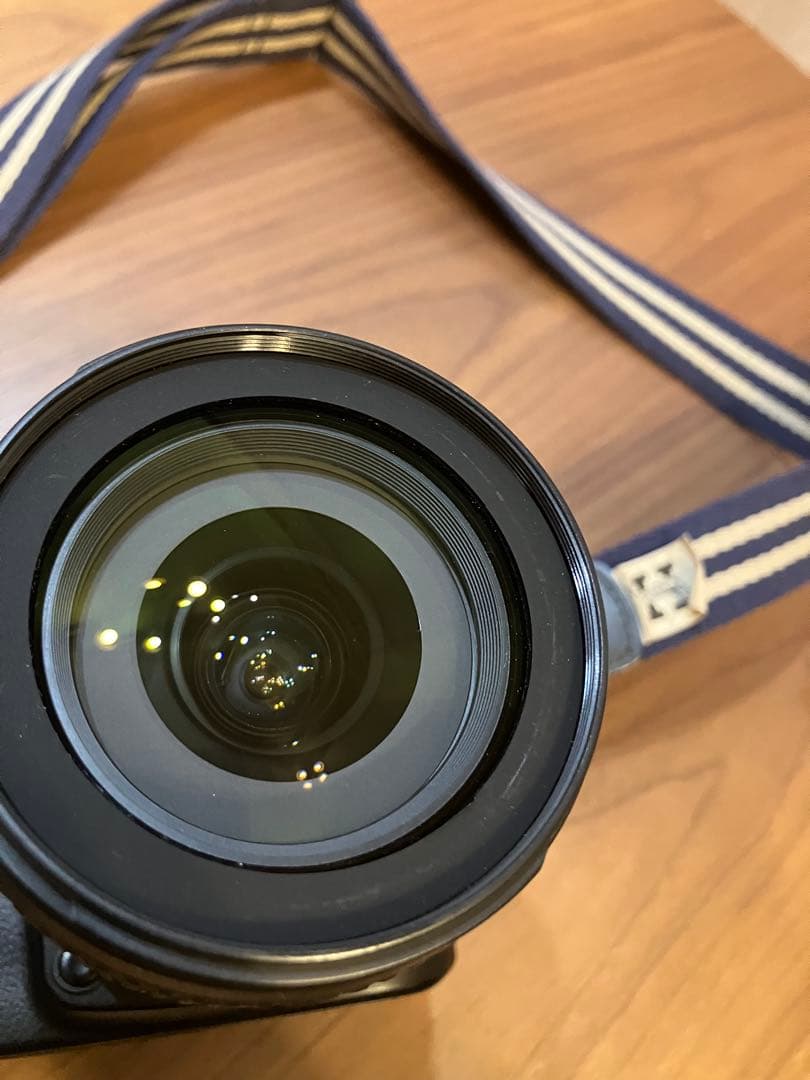 Nikon D90 18-105mm VR フルセット 動作品