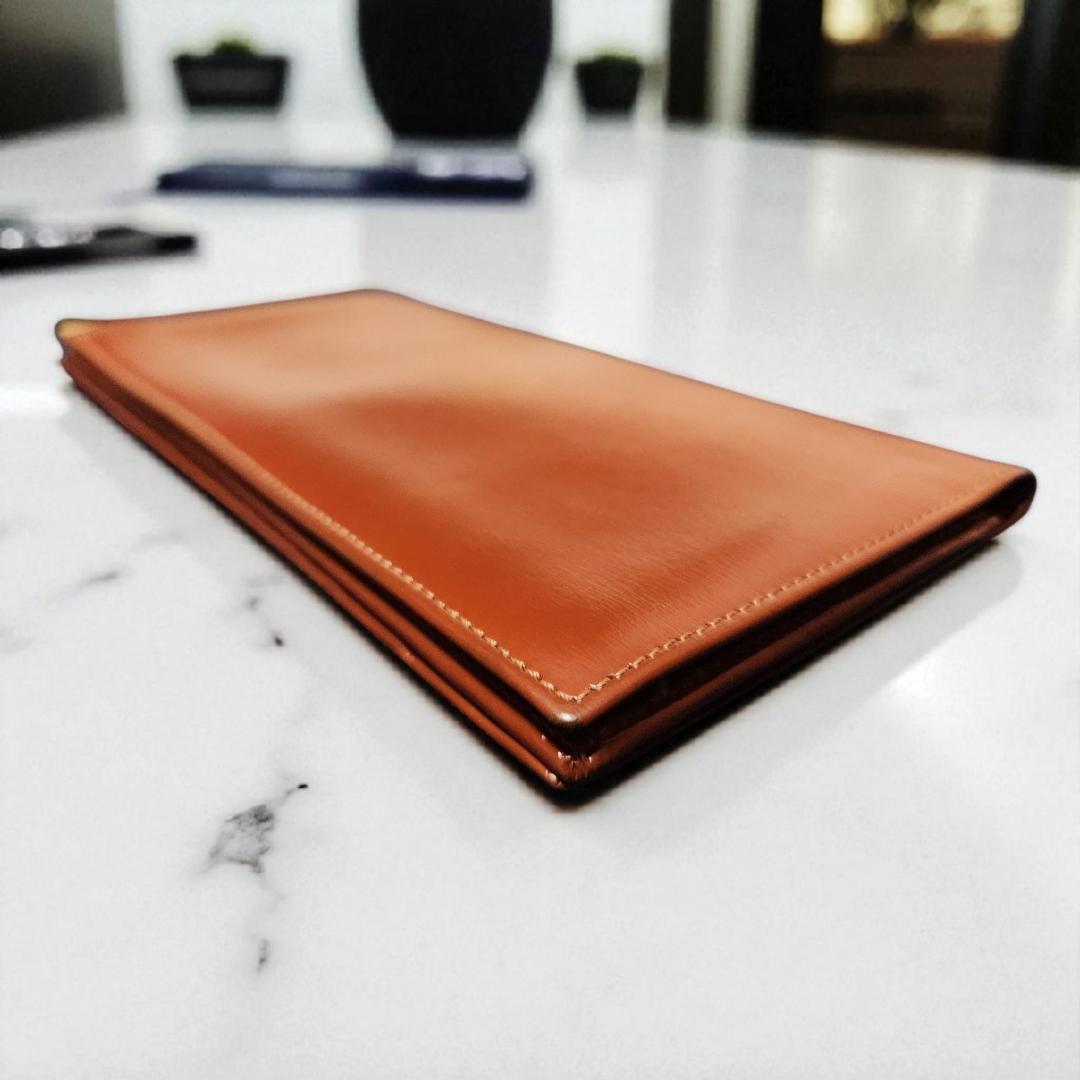 【レオじい】ロエベ 長財布 アナグラム ブラウン系 箱付 ユニセックス