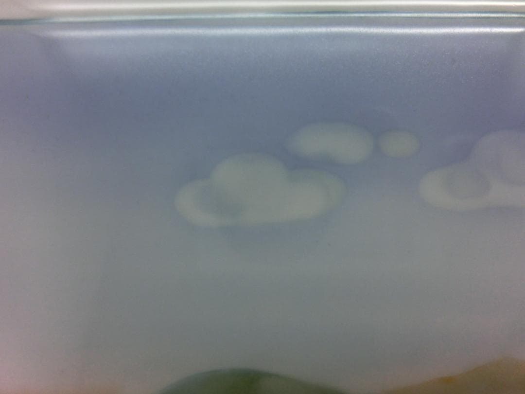 【マイセン】ドイツ丘陵風景・陶板画（値下げ再出品）