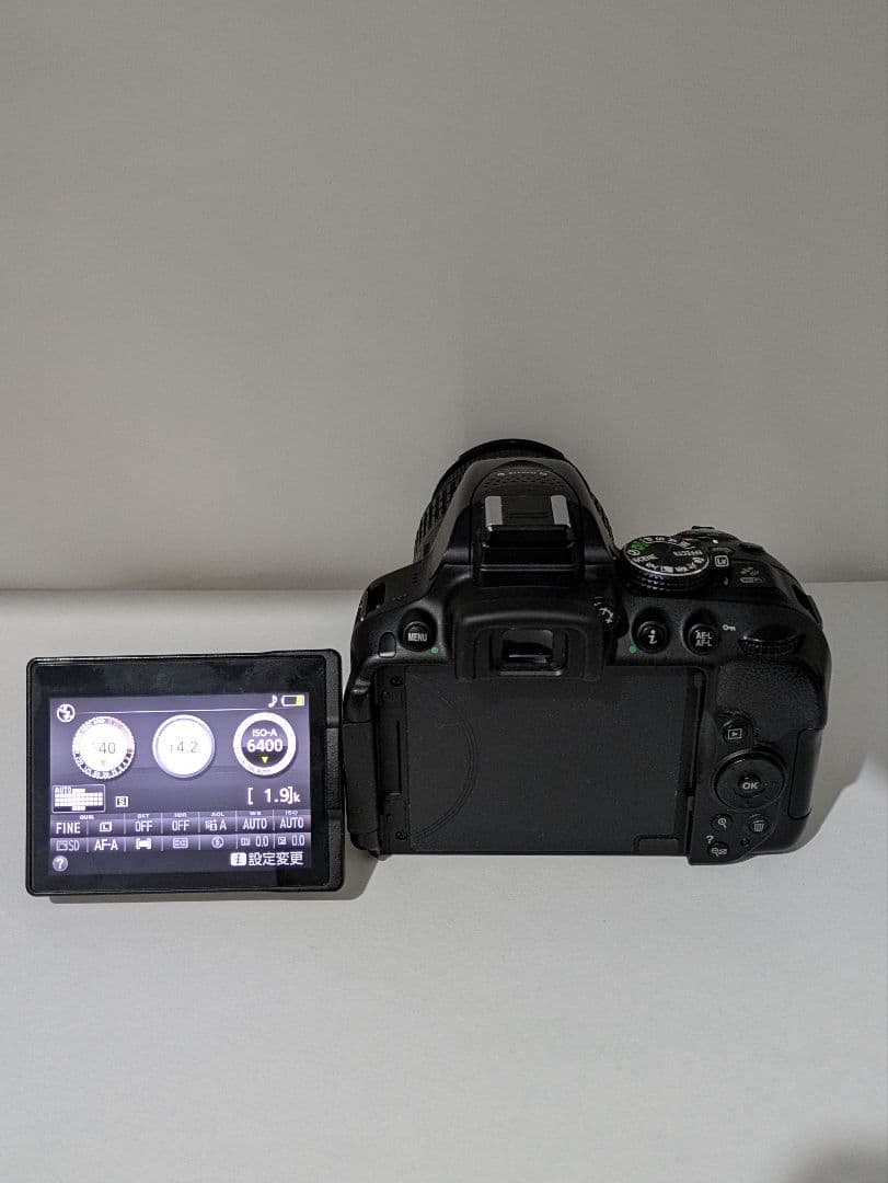 お得セット✨NIKON　D5300✨トリプルレンズ✨