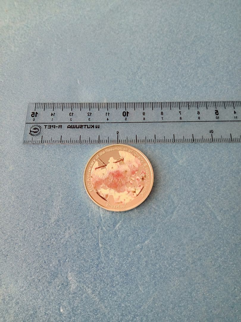 造幣局、桜の通り抜け2007プルーフ貨幣セットの銀メダル