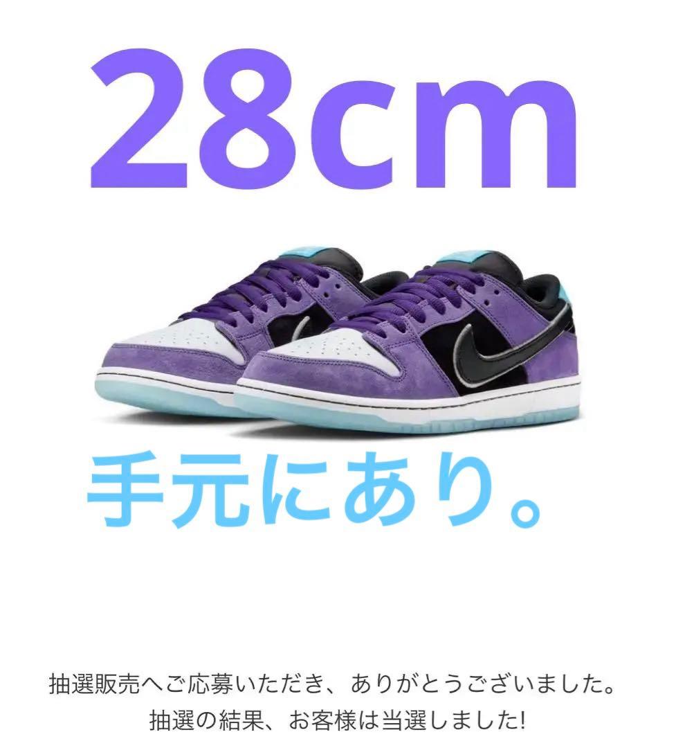 Hayley Wilson × Nike SB Dunk Low pro