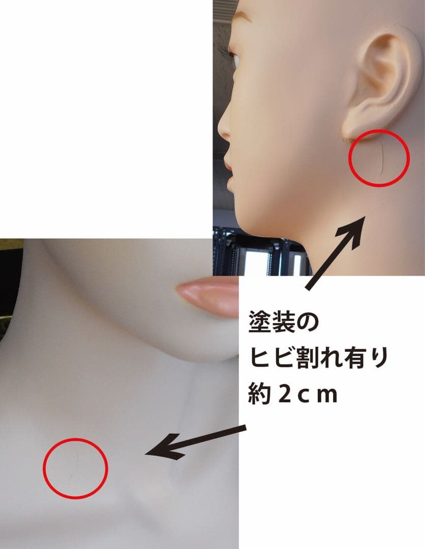 着せ替えマネキン