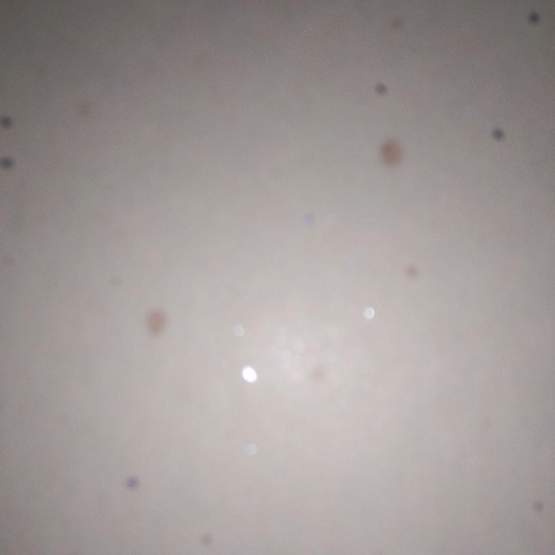 匿名配送　サンドウィッチマン　色紙　2010年　シール貼付　直筆サイン　封筒入り