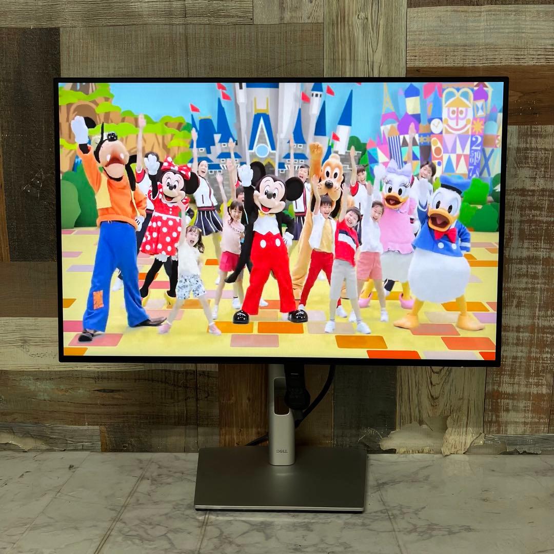 リクエスト価格❣️2年前購入DELL24型ワイド液晶モニターブルーライト軽減