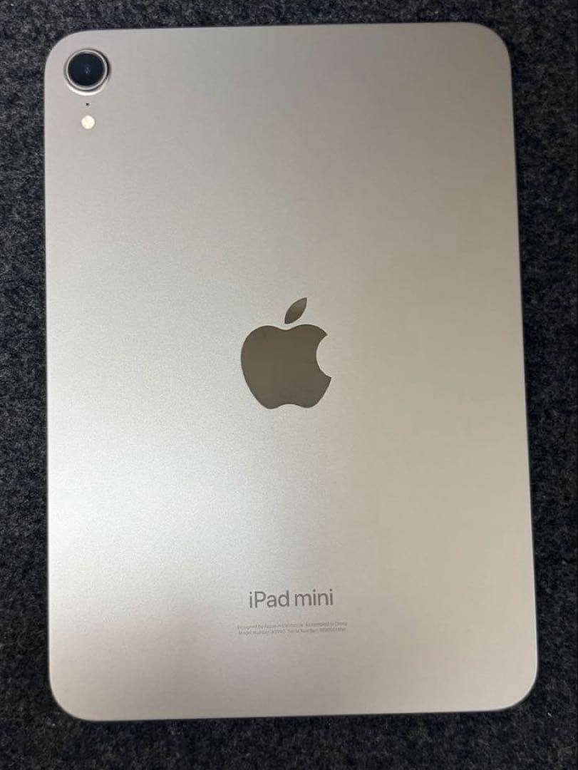 iPad mini (A17 pro) 128GB スペースグレー カバー付き