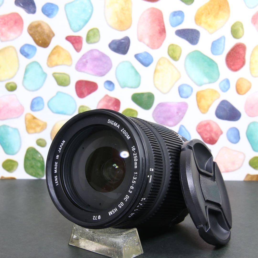 ♥︎◇近くから遠くまでこれ一本♪ SIGMA 18-250mm OS SONY