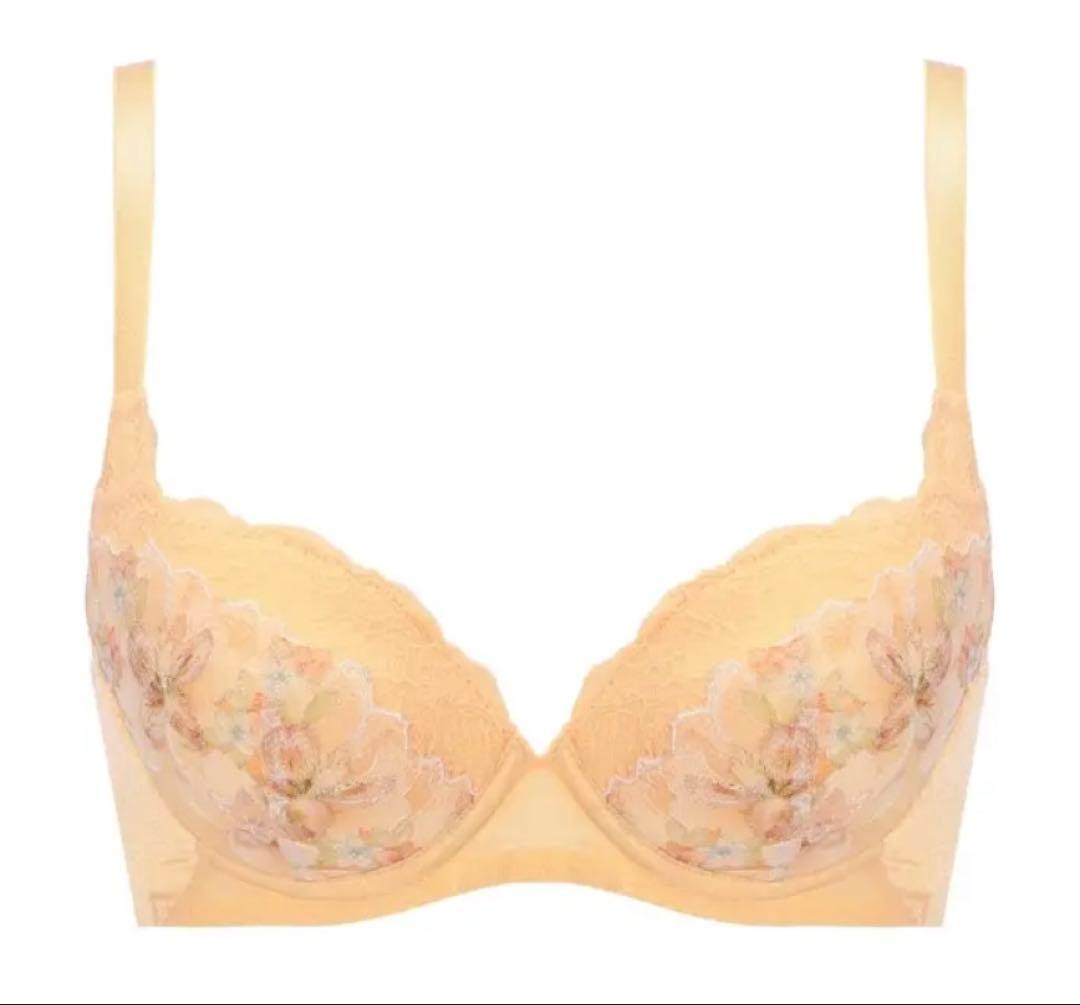 トリンプ　天使のブラ　魔法のハリ感　TR636 上下3セット　D70/M