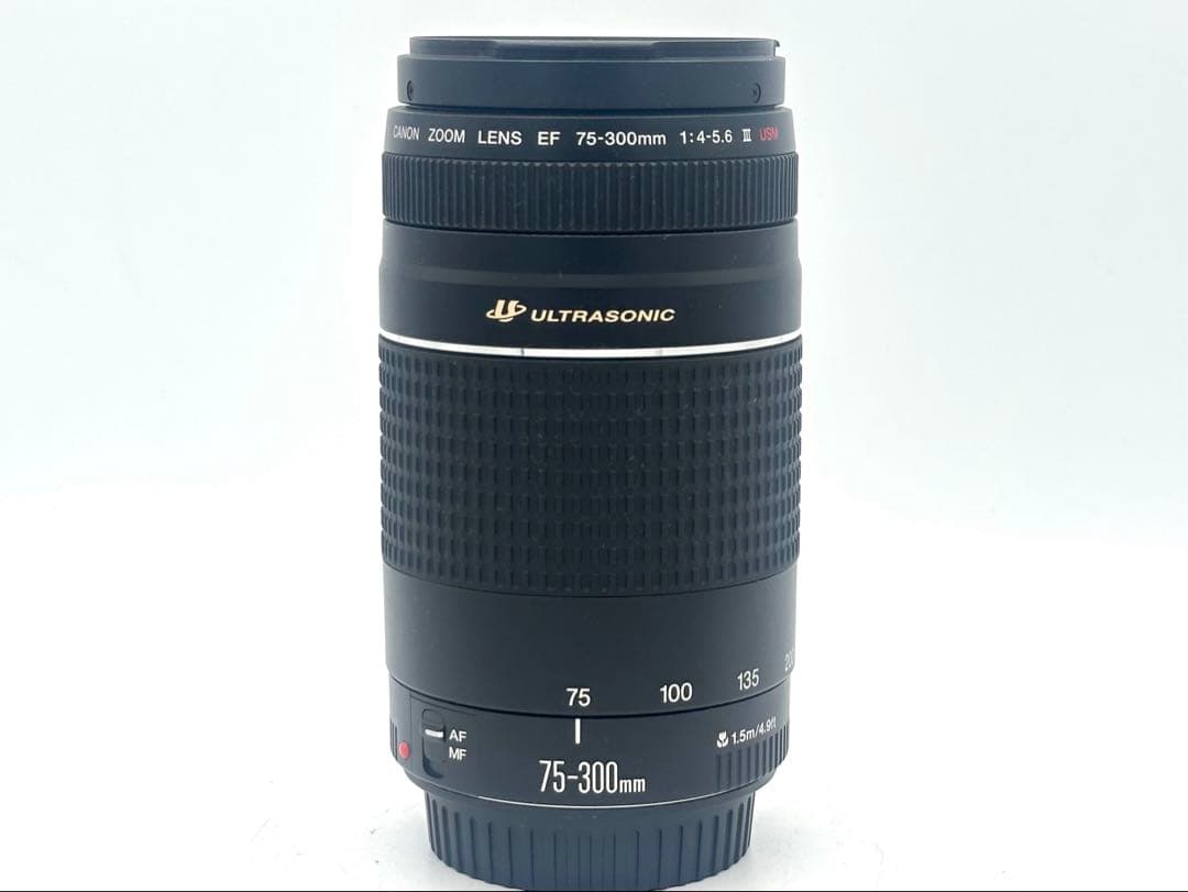 【完動品】Canon EF 28-80 EF 75-300 2本セット　動作OK