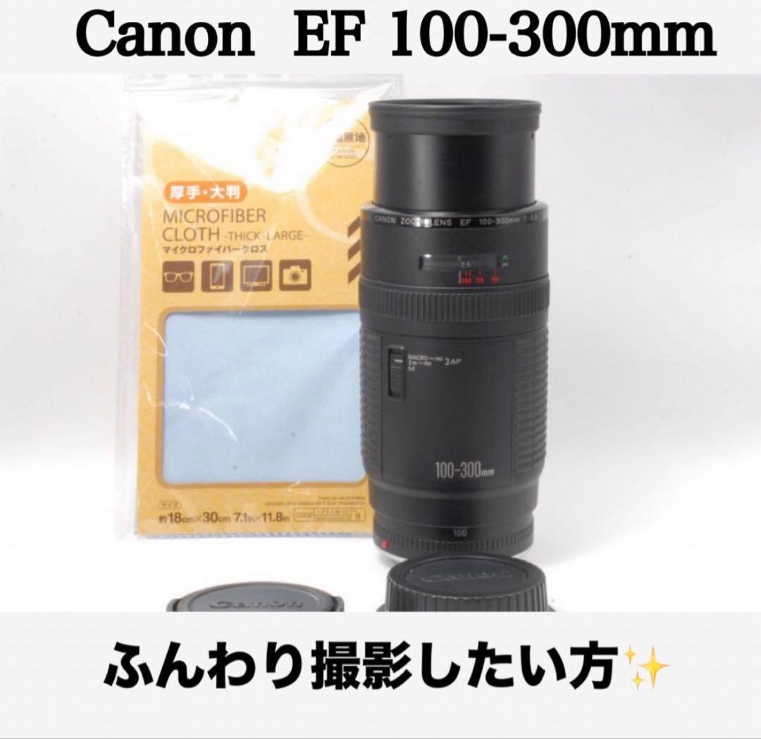 ✨背景ボケ✨Canon EF 100-300mm 望遠レンズ 初心者でも◎