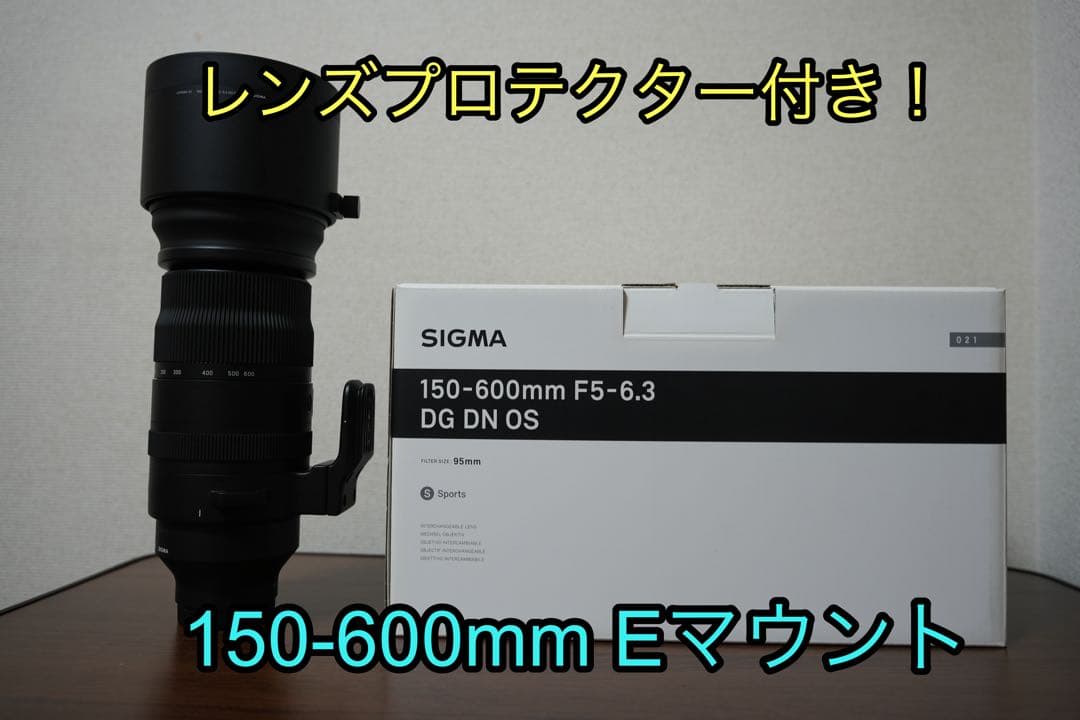 SIGMA 150-600mm F5-6.3 DG DN OS Eマウント