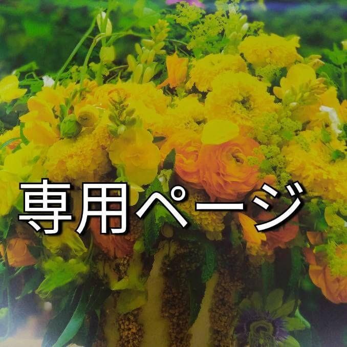 sora☆（感謝）/2