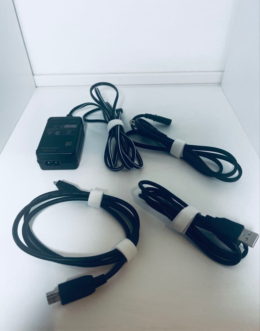 【SONY ソニー】FDR-AX40 4K ビデオカメラ ブロンズブラウン