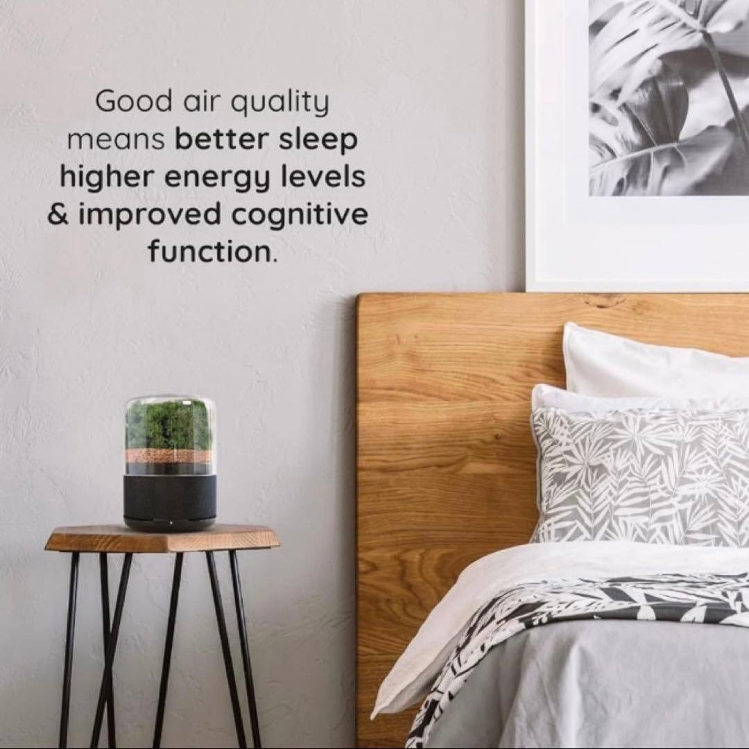 briiv 空気清浄機 英国発 自然派エコ BV0001