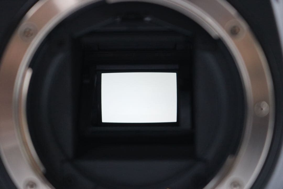 美品 【Canon EOS 7D Mark Ⅱ ダブルレンズセット】 安心保証◎