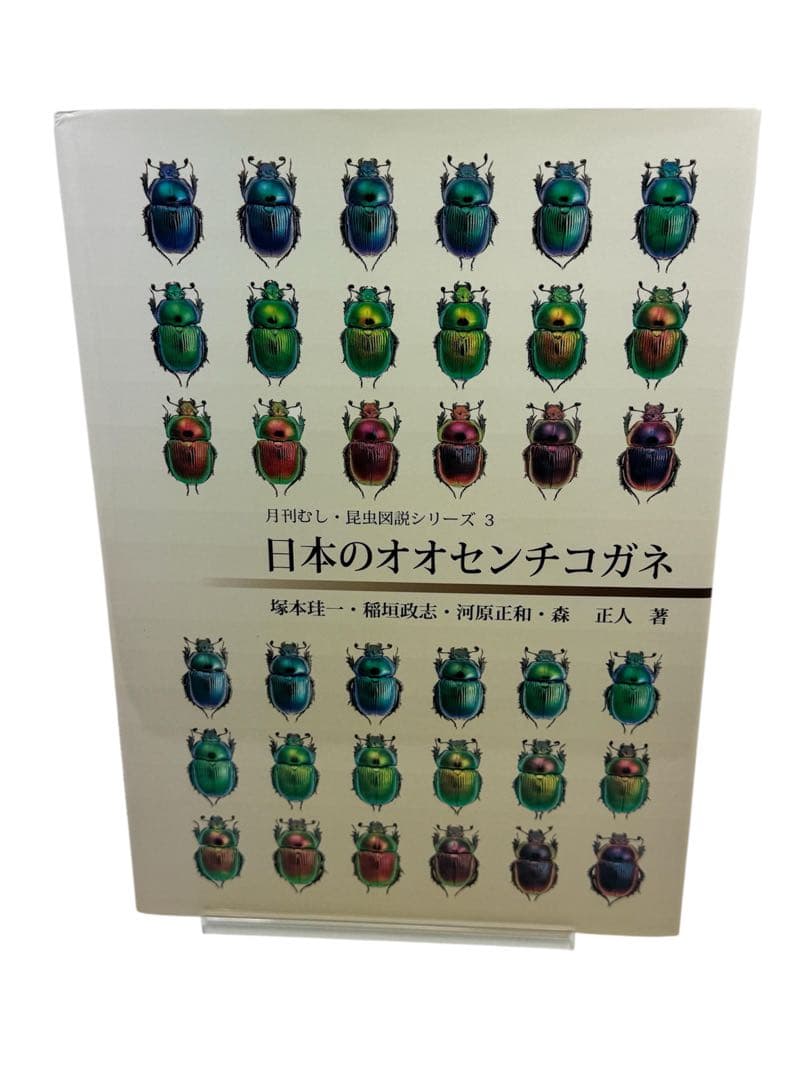 【むし社】日本のオオセンチコガネ