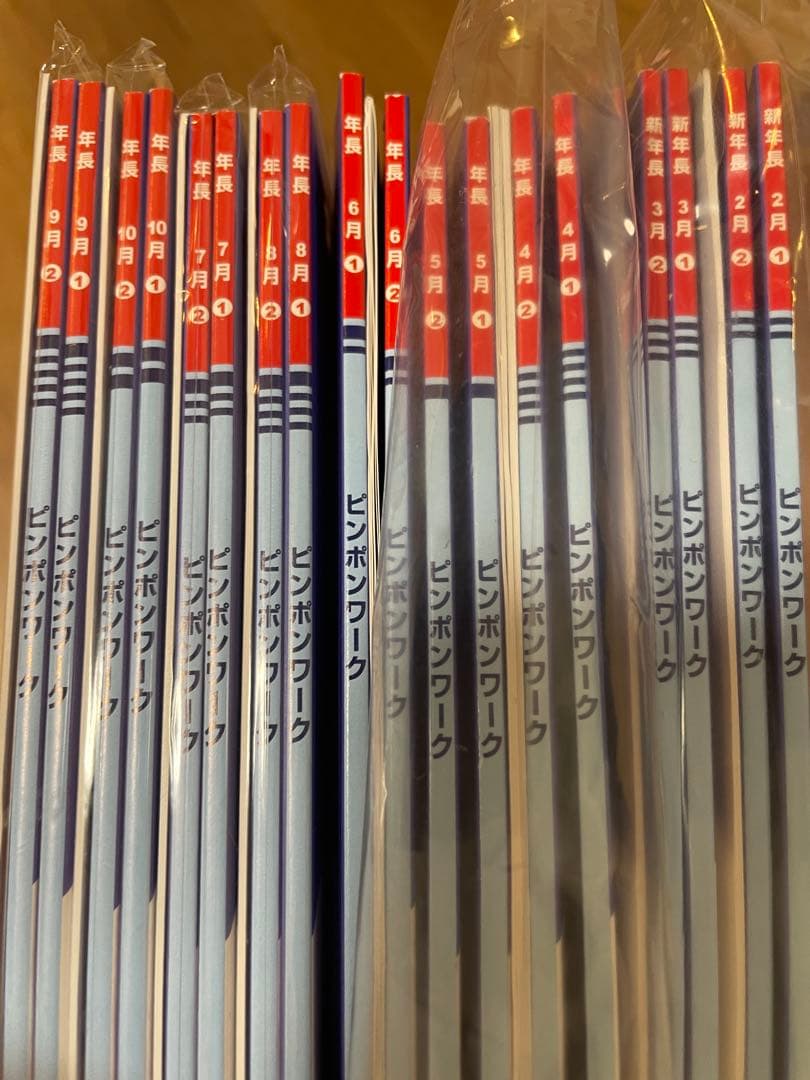 ピンポン！ワーク 新年長 2〜10月　18冊　ペン付き