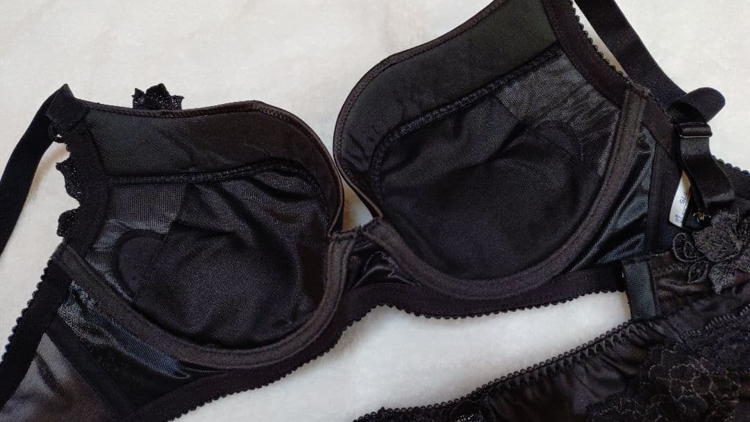 サルート　salute ブラジャーショーツセット75g F75 L 黒