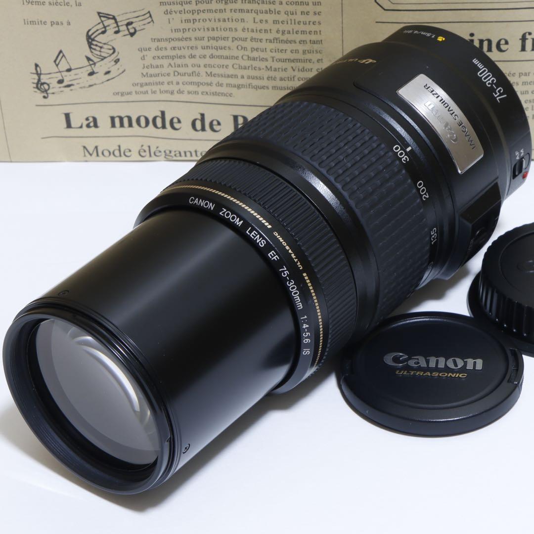 ◇超望遠&高速AF&手ブレ◇ Canon純正 75-300mm IS◇