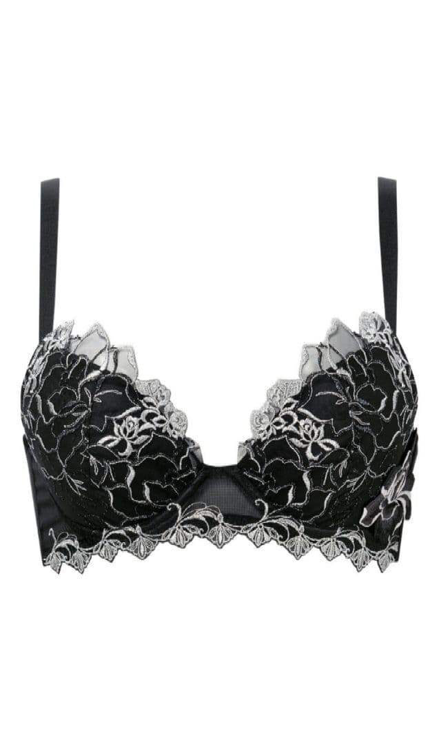 ワコール　サルート　17G　ブラ　Tバック