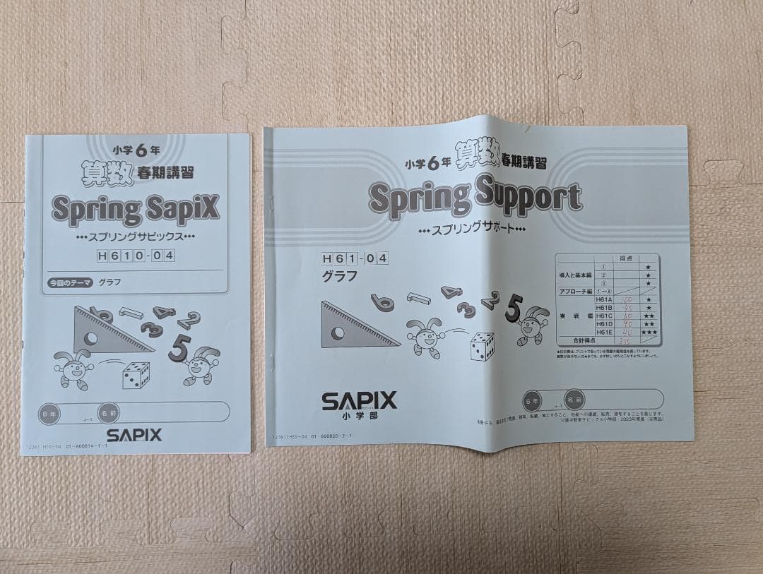 【SAPIX】サピックス 6年 算数テキストセット 小6