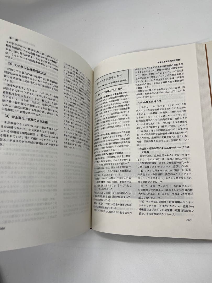 野菜園芸大百科 (4) 第2版　メロン